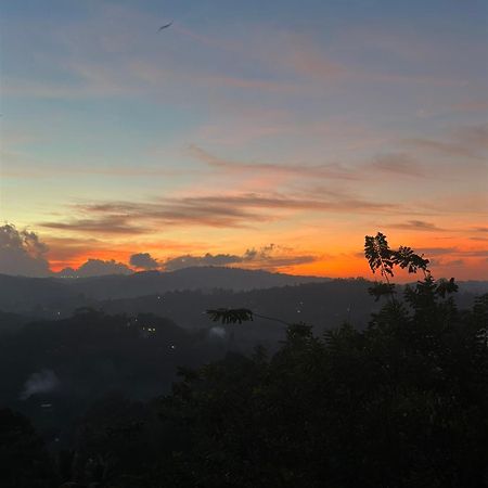 Kandy Hill Escape ภายนอก รูปภาพ